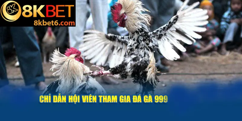 Chỉ dẫn hội viên tham gia đá gà 999 tại 8KBET