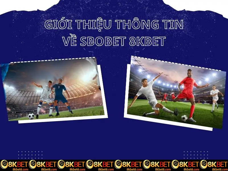 Tìm hiểu thông tin khái quát về SBOBET 8kbet